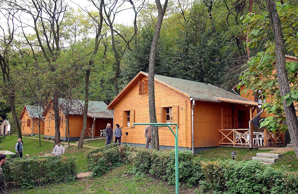Zöldvár villa Bogács Camera foto